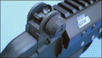 ds-arms2.gif