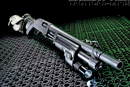 Gauge winchester shotguns 12 SXP