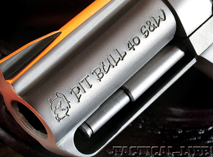 charter-arms-pitbull-40-sw