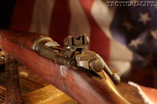 M1903 Springfield Sight