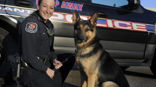 New K-9 Officers in Wisconsin