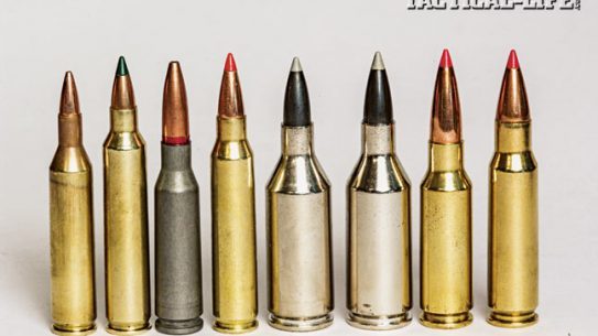 Today’s rifle ammunition manufacturers are coming on strong with a spectrum of “others” to feed your AR-15 rifles. From left to right: The .17 Remington, .204 Ruger, 5.45x39mm, .223 Remington, .223 Winchester Super Short Magnum (WSSM), .243 WSSM, 6.5 Grendel & 6.8 SPC.