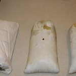 7.35 pounds of cocaine was found inside frozen meat that a passenger allegedly had in his luggage.