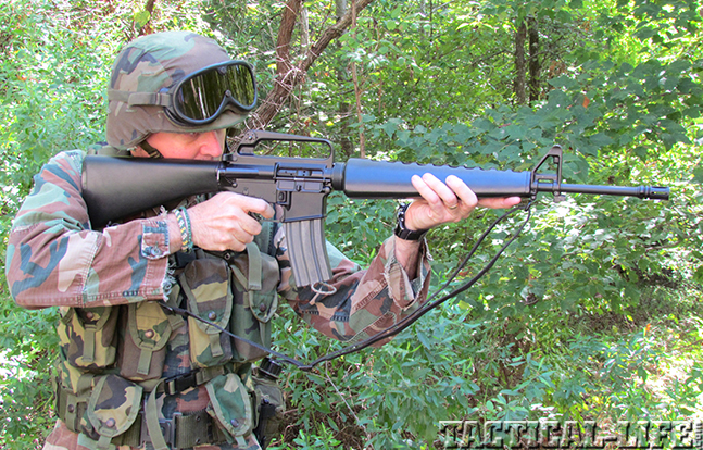 M16 Evolution Military Woods