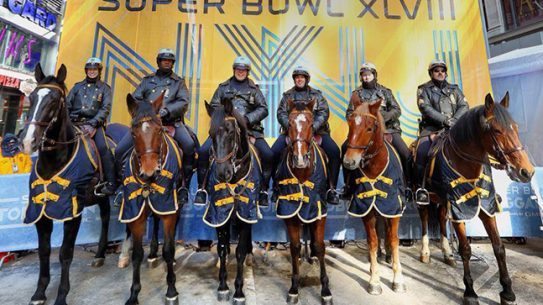 Super Bowl horses lead