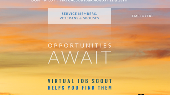 Virtual Job Scout