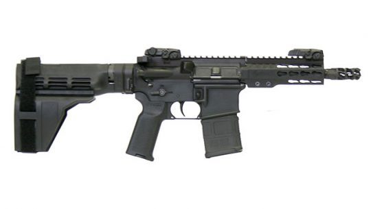 NASGW Roundup ArmaLite M15 Pistol