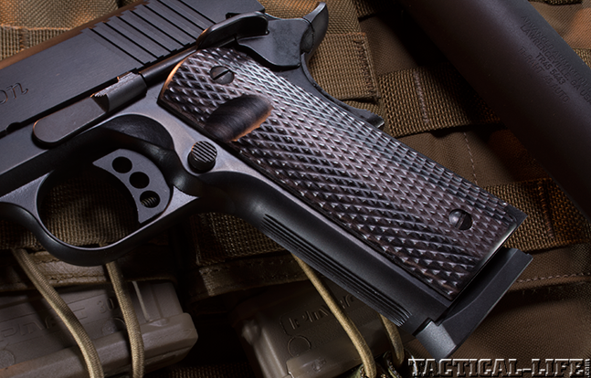 Remington R1 SWMP 2014 grip