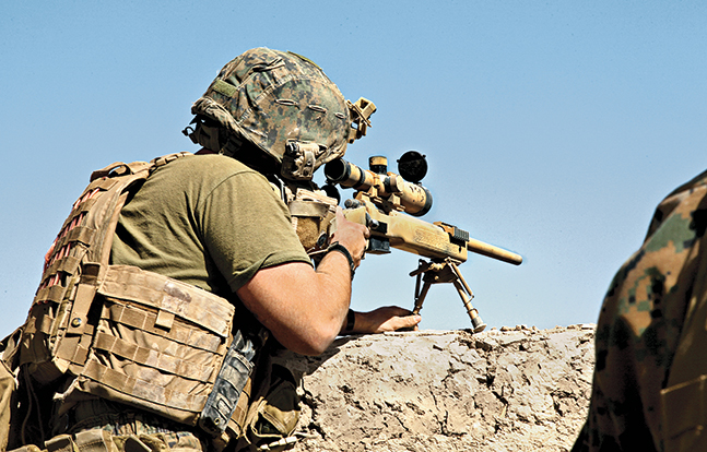 Tactical Rifles M40 Magnum T6 TW Nov field