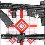 Daniel Defense DDM4V11 LW 5.56mm SWMP April 2015 target