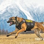 Vested Interest in K9s Police Dogs GWLE April 2015 lead