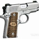 Concealed Carry Pistols 2015 Kimber Micro Raptor .380