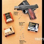Springfield Armory Range Officer Compact 1911 target