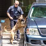Marietta Police Department Tactical Weapons August 2015 K-9