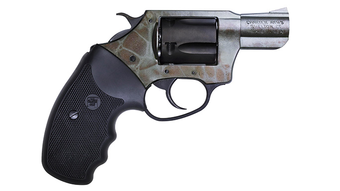 Charter Arms .38 SPL Gator Revolver