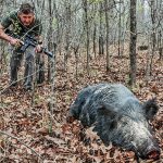 Wilson Combat Hog Hunting hunt