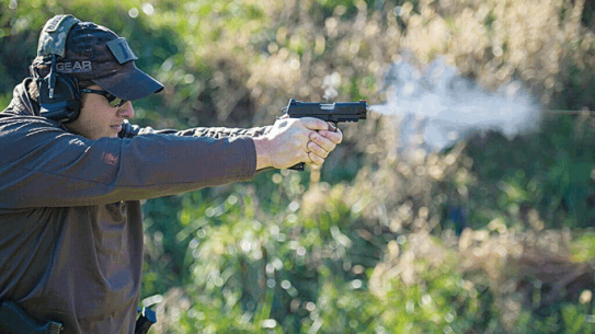 Wilson Combat 9mm Protector Professional Pistol action