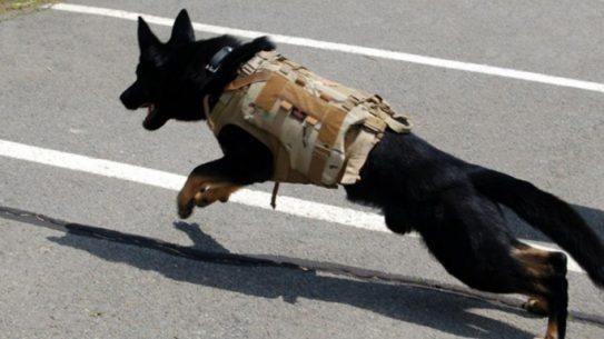 Velocity Systems specializes in K-9 protection gear