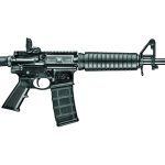 smith & wesson M&P 15 Sport II rifle