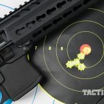 SIG MPX carbine target