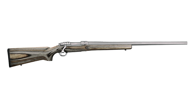 Ruger M77 Hawkeye varmint hunting rifle