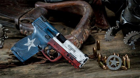 Smith & Wesson m&p m2.0 compact dream gun