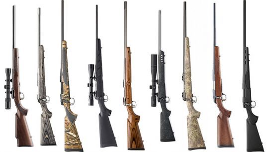 varmint hunting rifles