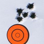 savage model 10 grs rifle target best group