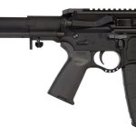 Seekins NXP8 ar pistol brace