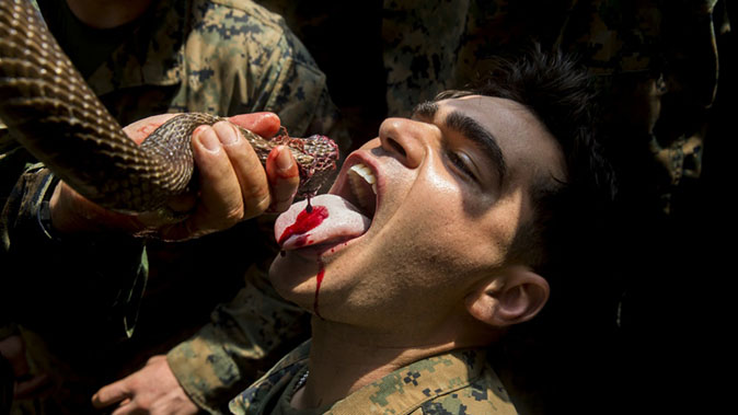 marines cobra gold blood drinking