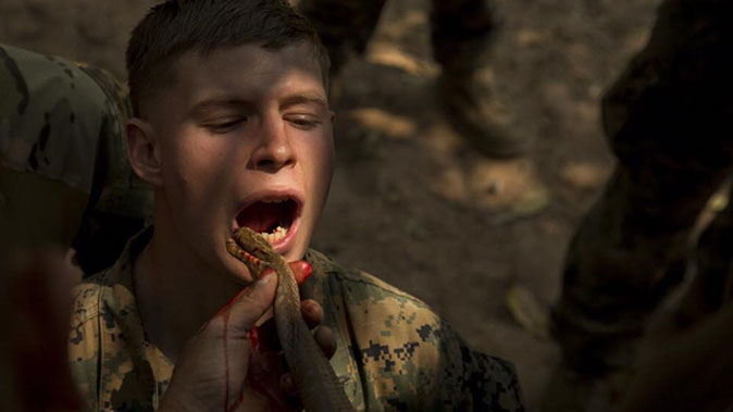 marines cobra gold drinking snake blood