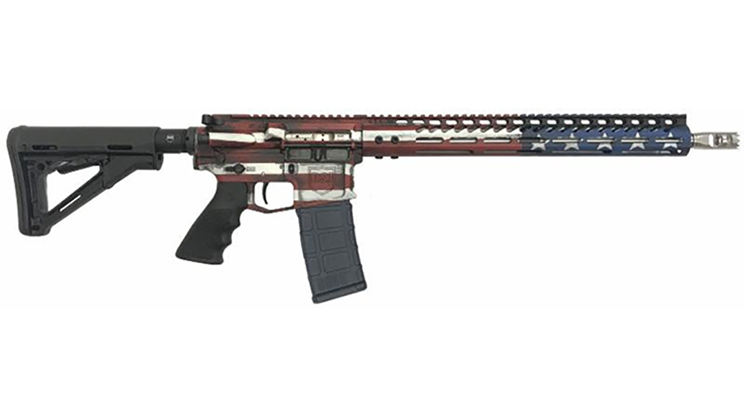 dark storm industries ds-15 signature series rifle