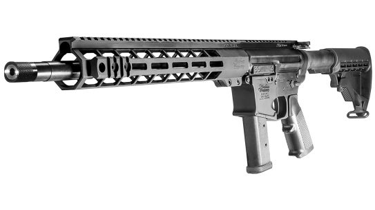 Windham Weaponry 9mm Carbine, Glock magazine, angle