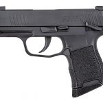 P365 BB Pistol