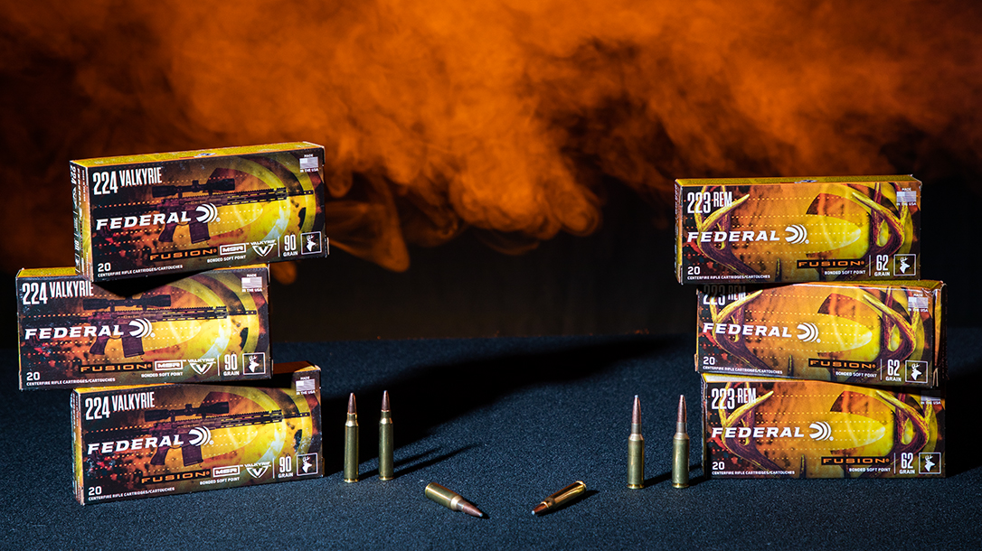 In a cartridge test, we compared 224 Valkyrie vs 223 Remington.