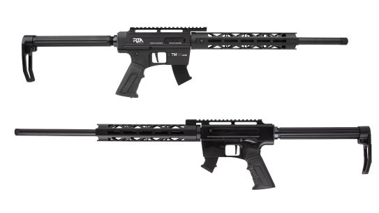 The Rock Island Armory TM22 features AR styling.